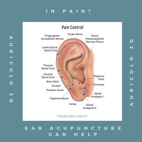 Acupuncture Points On Ears Chart