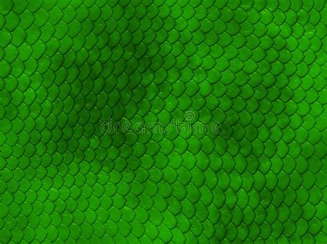 Green Snake Skin Texture A Background Texture Of Green Snake Skin