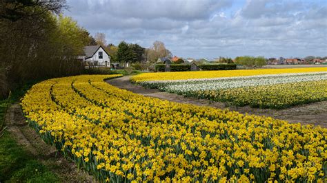 Spring Fields Hd Wallpapers Wallpaper Cave