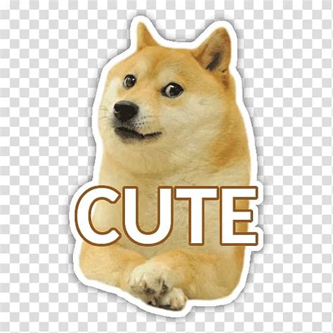Details on how to acquire this token, tokenomics and incentives will this no cost method allows any shiba inu member to help rescue shiba inus by simply using smile.amazon.com when they place orders and put their preferred. Shiba Inu Dogecoin, Save The Doge PNG | ClipartSky