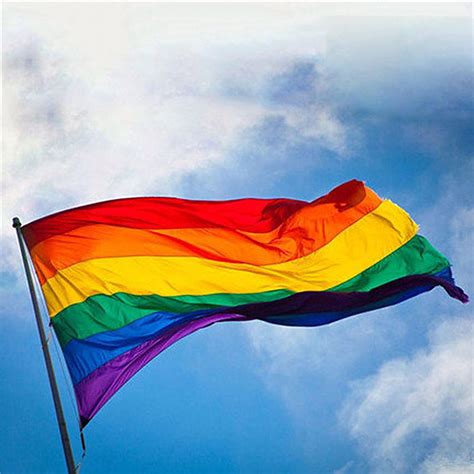 Gay Friendly Rainbow Flag Banners Pro Lesbian Gay Pride Lgbt Flag Polyester Rainbow Flag For Gay