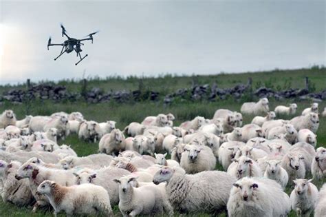 Hi Tech Thieves Using Drones To Case Out Farm And Rural North Wales