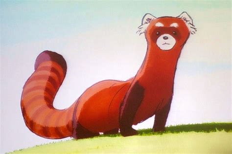 Pabu The Fire Ferret Pet Of Mako And Bolin Combination Of A Red