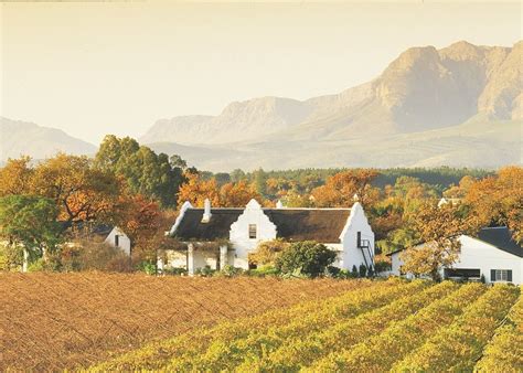 Visit The Winelands On A Trip To South Africa Audley Travel