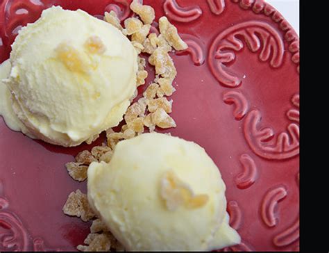 Chunky Ginger Ice Cream — Melissas Produce