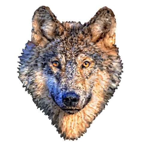 Cute Wolf Face Png Image Purepng Free Transparent Cc0 Png Image Library