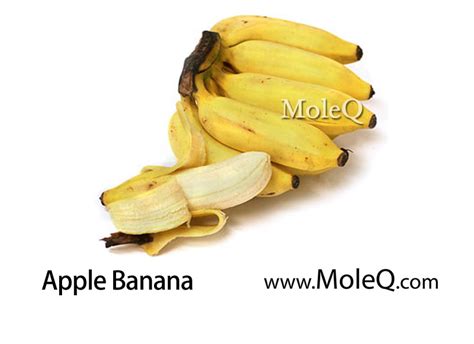 Apple Banana Moleq Inc Food Information