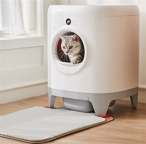 Best Automatic Litter Boxes 2023 Game Changers For Humans And Cats