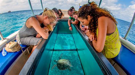 Boat Tours Glass Bottom Boat Tours Explore The Ocean