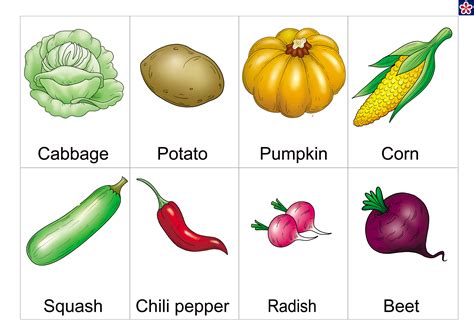 free printable vegetables flashcards with names for