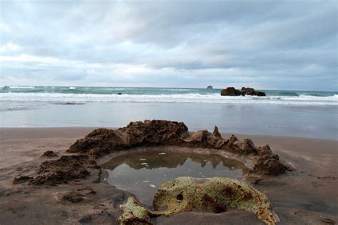 Things to do in new zealand, south pacific: The 10 Best Free Things To Do In New Zealand: North Island ...
