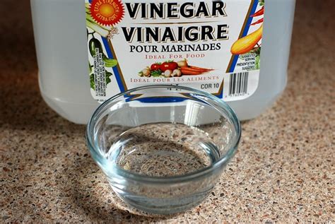 How To Clean With Vinegar Modernistic®