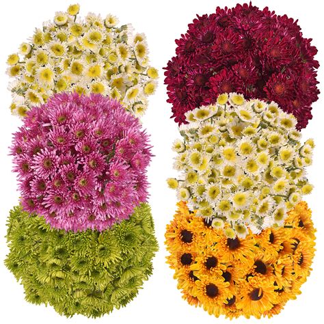 Fresh Cut Novelty Assorted Pompoms Pack Of 60 By Inbloom Group
