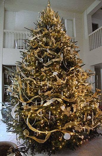 The result is a tree that oozes understated elegance. Dan and Bryan's Christmas Trees, Formerly Sundback Trees ...