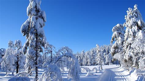 Beautiful Winter Wallpapers Beauty Of Winter Season Nature