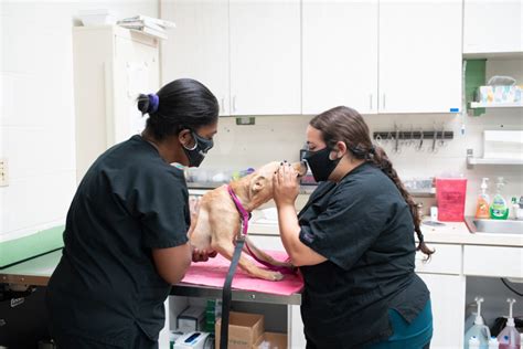 Most pets are old enough to be spayed or neutered at 4 months of age. Meet the Staff | Southside Animal Clinic | Veterinarian