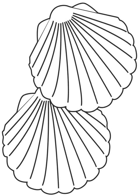 Coloring pages are a wonderful activity for kids and adults. Shell coloring pages | Coloring pages to download and print