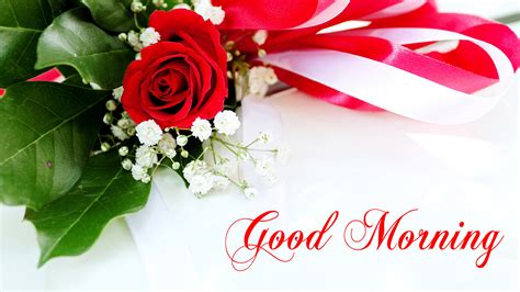 Good Morning Wallpaper With Flowers Full Hd 1920x1080 Gm Images