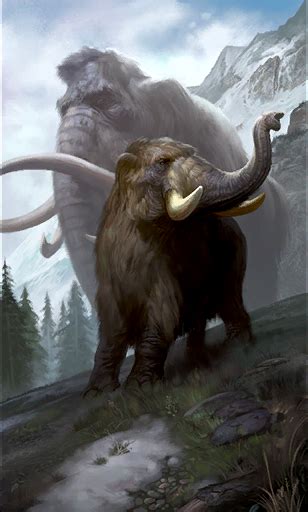 Young Mammoth Elder Scrolls Fandom Powered By Wikia