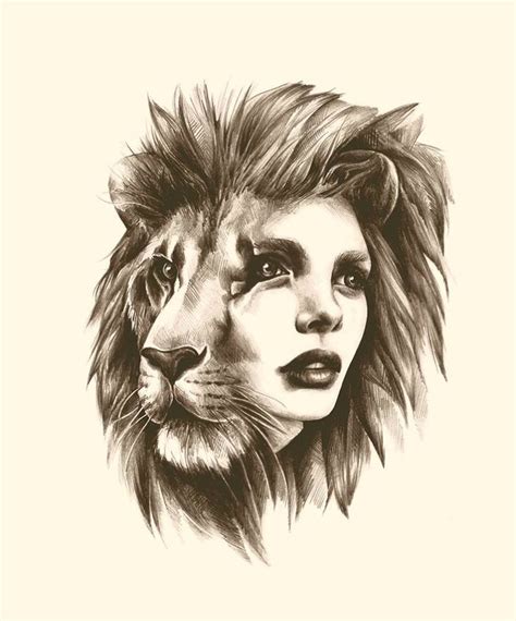 Female Lion Sketch At Explore Collection Of Female