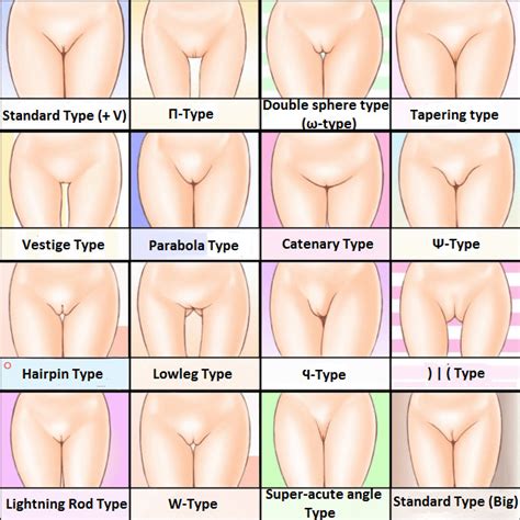 Various Types Of Pussy Lips XXGASM