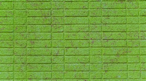 Download Wallpaper 2560x1440 Wall Brick Green Surface Widescreen 16