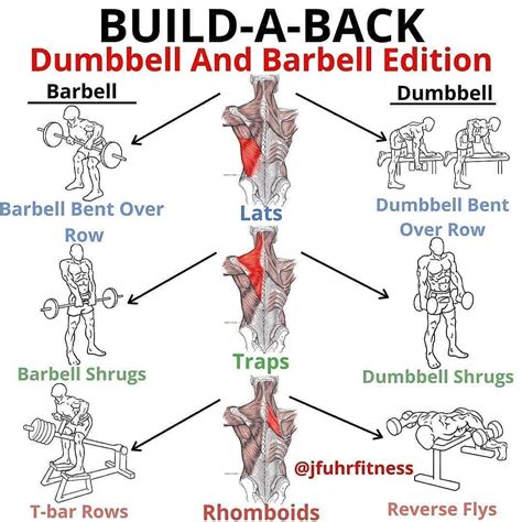 Peter O Reilly Frcms Pt 🇮🇪 On Instagram “build A Back Dumbbell And