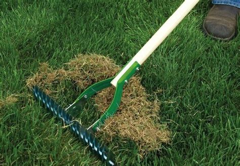 For more info, check out how to aerate & dethatch your lawn. Spring Lawn Care - 7 Best Steps to Start the Season - Bob Vila