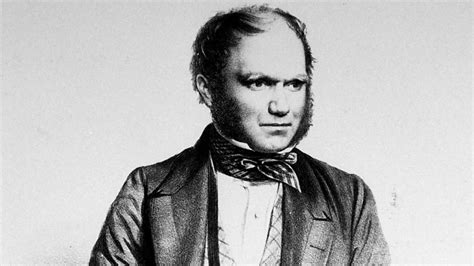 Bbc Radio 4 In Our Time Darwin In Our Time Darwin On The Origins