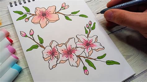 Flori De Cires Usor De Desenat Si Colorat Deseneaza Si Coloreaza O Floare Youtube