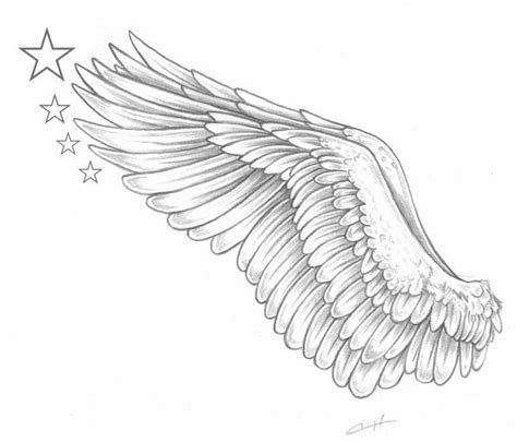 The broad forearm totally covered the wing. Wing design love | Wings tattoo, Wings drawing, Tattoo ...