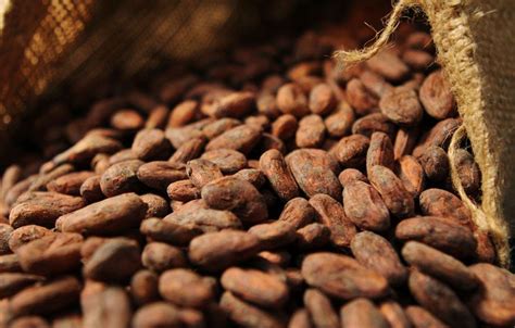 Les Bienfaits Santé Du Cacao Top Santé