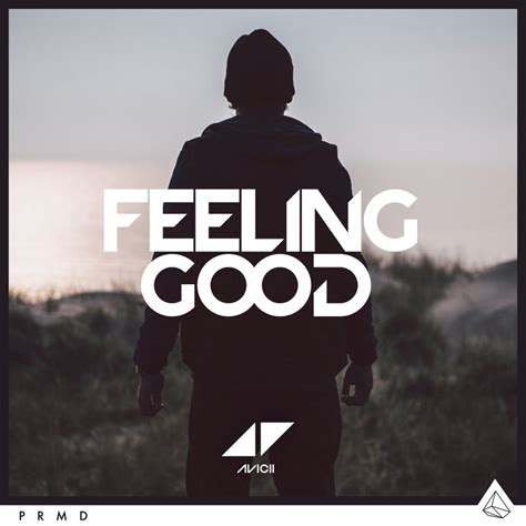 Avicii Feeling Good Lyrics Genius Lyrics