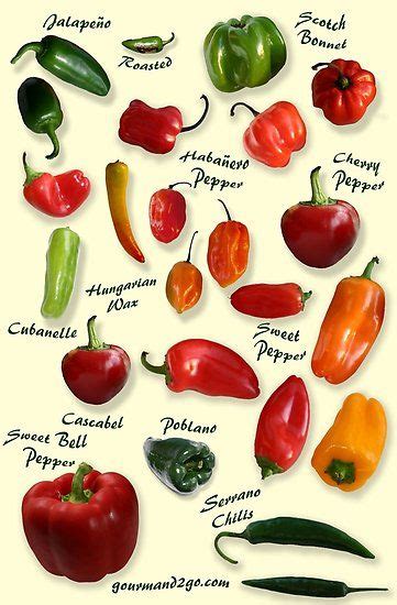 this poster will help you identify various chili peppers something that is important when
