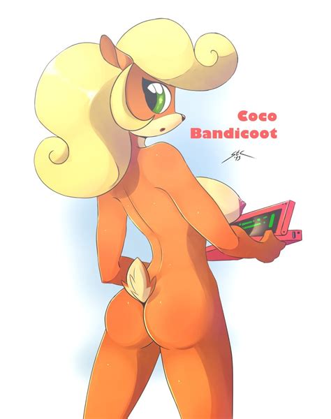 03 In Gallery Best Of Coco Bandicoot Picture 3