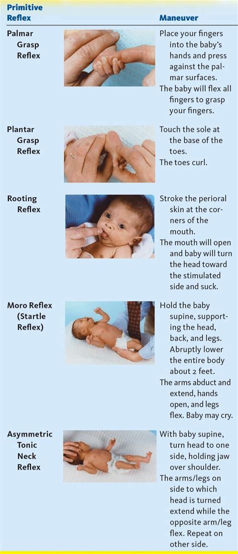 Primitive Reflexes In Infants And Adults Need To Integrate Primitive