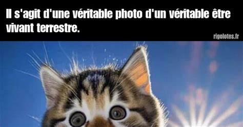 Il S Agit D Une V Ritable Photo Blagues Et Les Meilleures Images