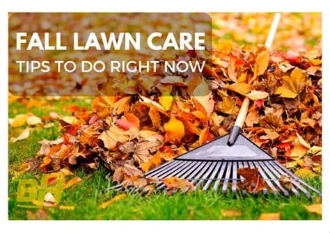 5 Fall Lawn Care Tips To Do Right Now Bur Han Garden And Lawn Care