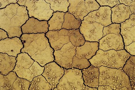Desert Floor Texture