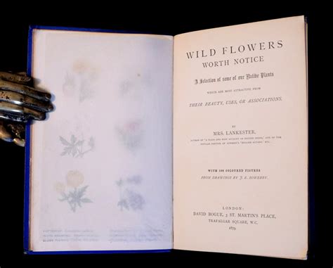 1880 Rare Floriography Book ~ The Language Of Flowers By Robert Tyas