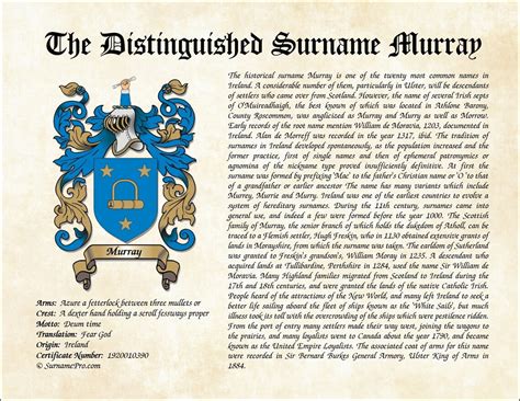 ls-coat-of-arms-family-crest-design-last-name-origin-surname-etsy