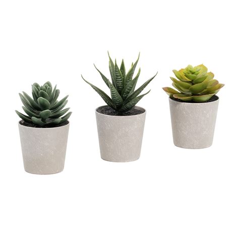 Buy Artificial Succulents Set Of 3 Mini Realistic Fake S With Plastic Pots For Home And Office