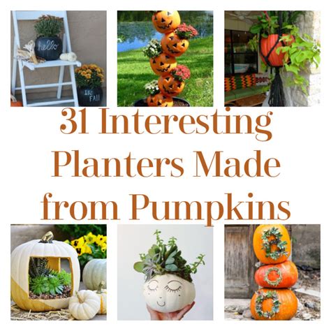 31 Interesting Planters Made From Pumpkins
