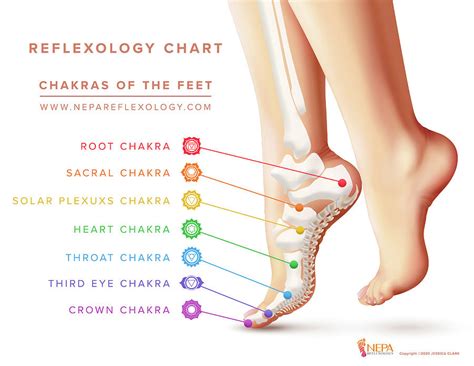 Reflexology Chakras Of The Feet Digital Art By Jessica Clark Pixels