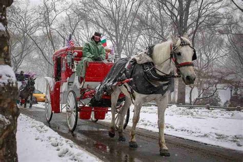Central Park Horse Carriage Ride Ny