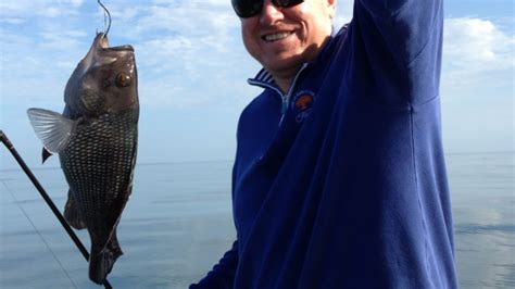 December Is Prime Time To Catch Big Black Sea Bass On Nearshore