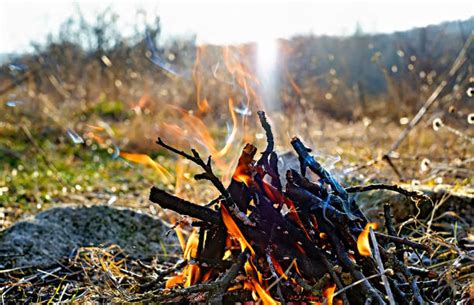 Small Fire Bonfire Flame Stock Photos Pictures And Royalty Free Images