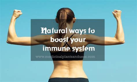 7 Surprising Ways To Boost Your Immune System Naturally Immune System Men Health Tips Boost