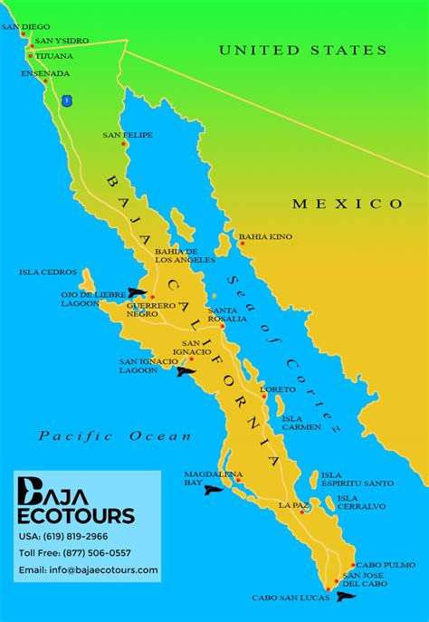 baja california peninsula wall map mx
