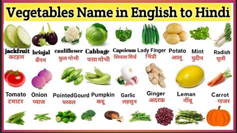 100 सब्जियों के नाम हिंदी और इंग्लिश तथा संस्कृत में Sabjiyon Ke Naam